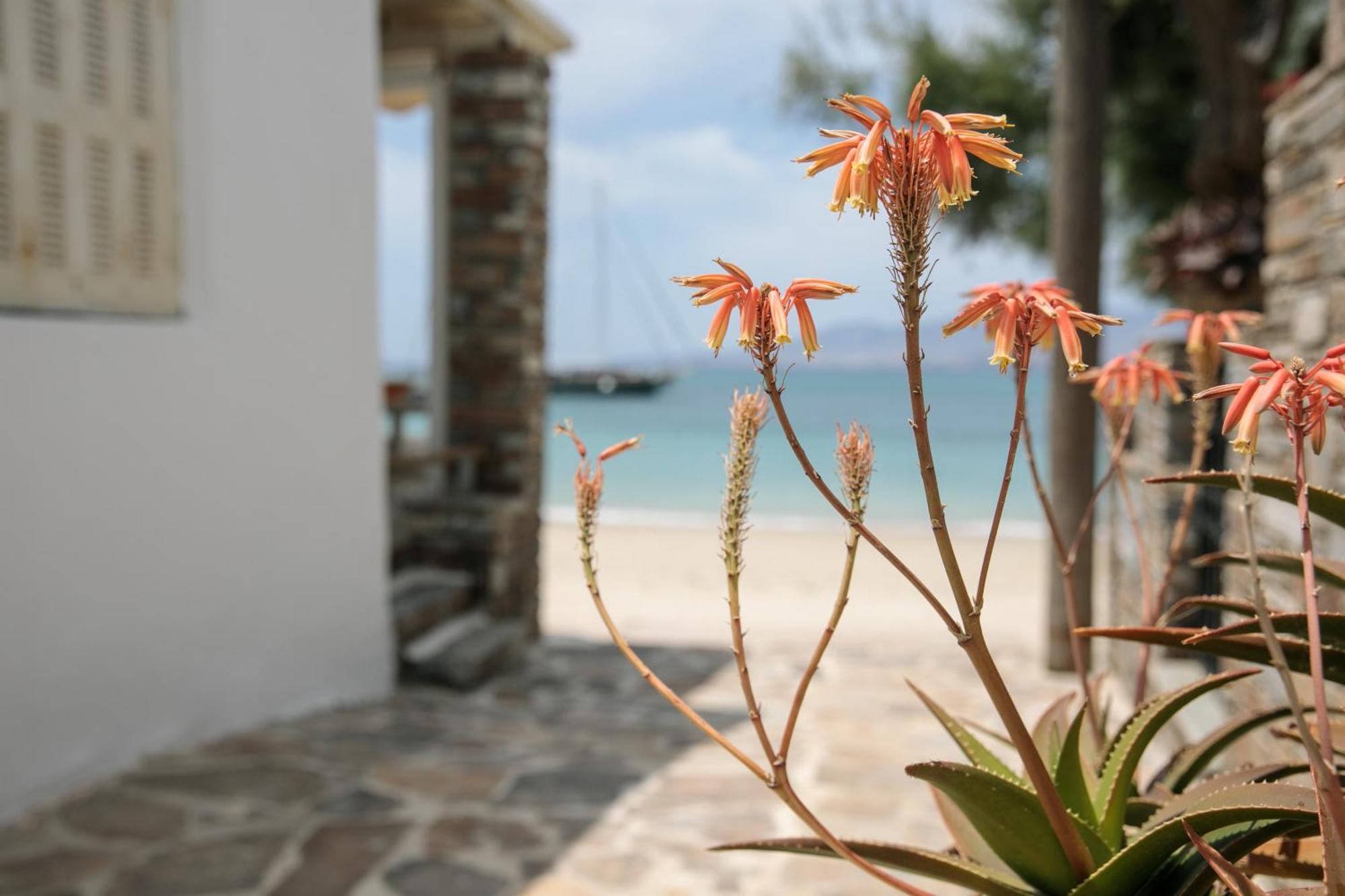 Iria Beach Art Hotel Agia Anna  Exterior foto